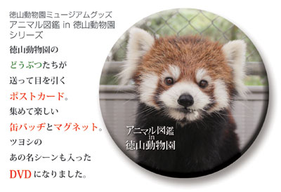 徳山動物園グッズ